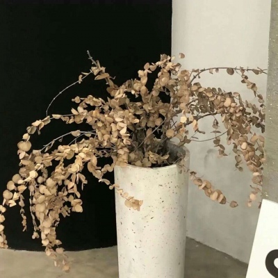 兽设星空场景创作兽圈群